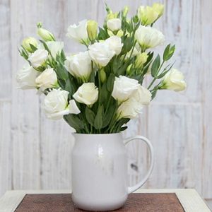 每月鮮花 單品鮮花訂閱 每月4束鮮花預訂