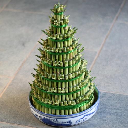 富貴竹 富貴塔 富貴竹籠 一帆風順富貴竹價格