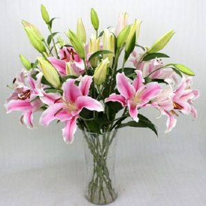 單品百合花訂閱 香水百合瓶插花