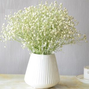 滿天星 干花滿天星 七彩滿天星圖片 滿天星價格