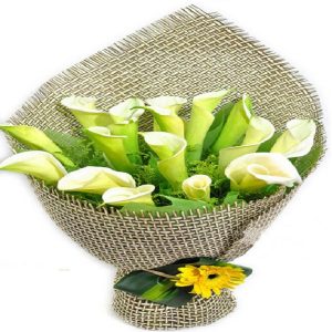 馬蹄蓮花束 進口馬蹄蓮鮮花 馬蹄蓮禮盒