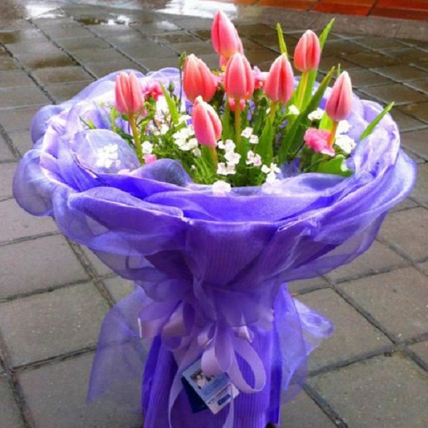 郁金香花束 郁金香禮盒 郁金香插花