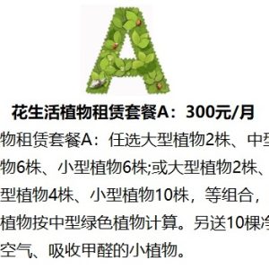 花卉植物租賃租擺出租 綠化養護 園林施工