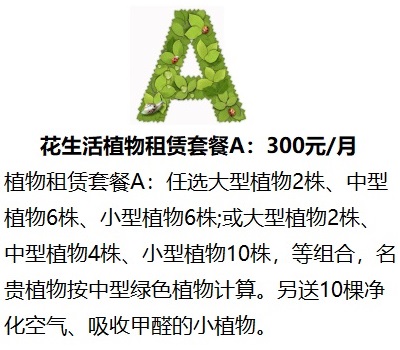 花卉植物租賃租擺出租 綠化養(yǎng)護 園林施工