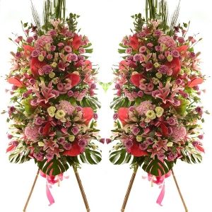 國(guó)際商務(wù)祝賀 開(kāi)業(yè)花籃 喬遷花籃 祝福花籃